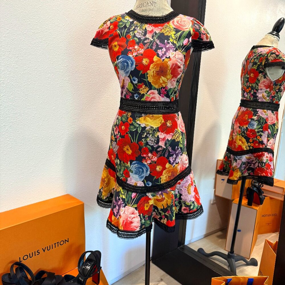 Alice & Olivia Rapunzel Flare Dress